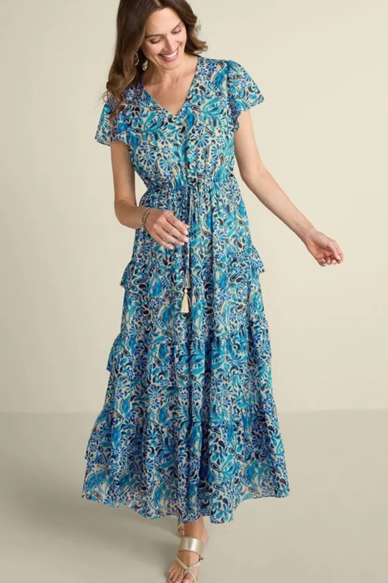 Fashion Soft Surroundings Aleyah Maxi Dress PaisleyIkatOvercast