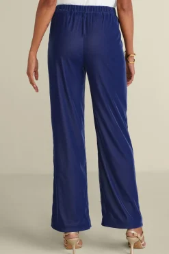 Online Soft Surroundings Aria Velvet Wide Leg Pants