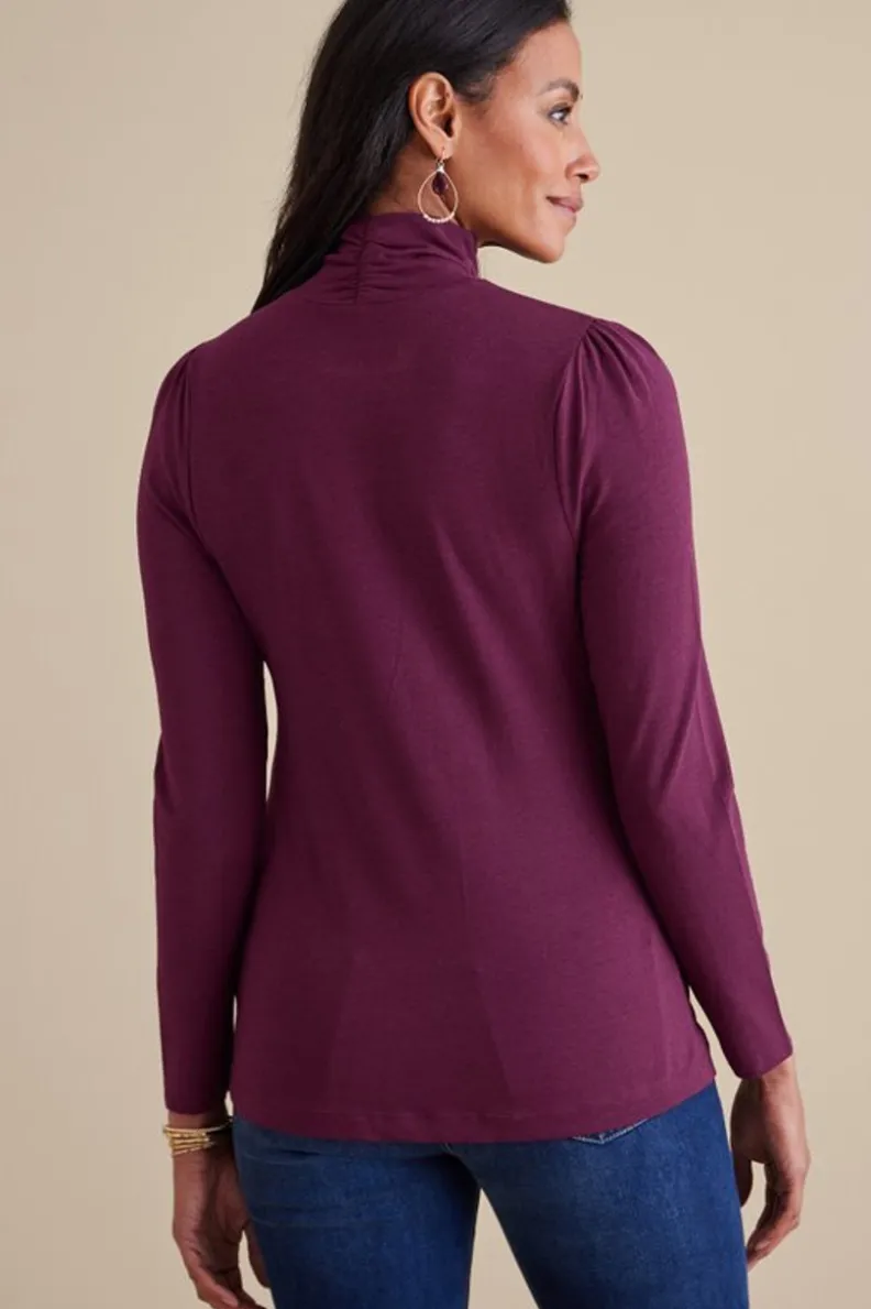 Best Soft Surroundings Emme Turtleneck Top