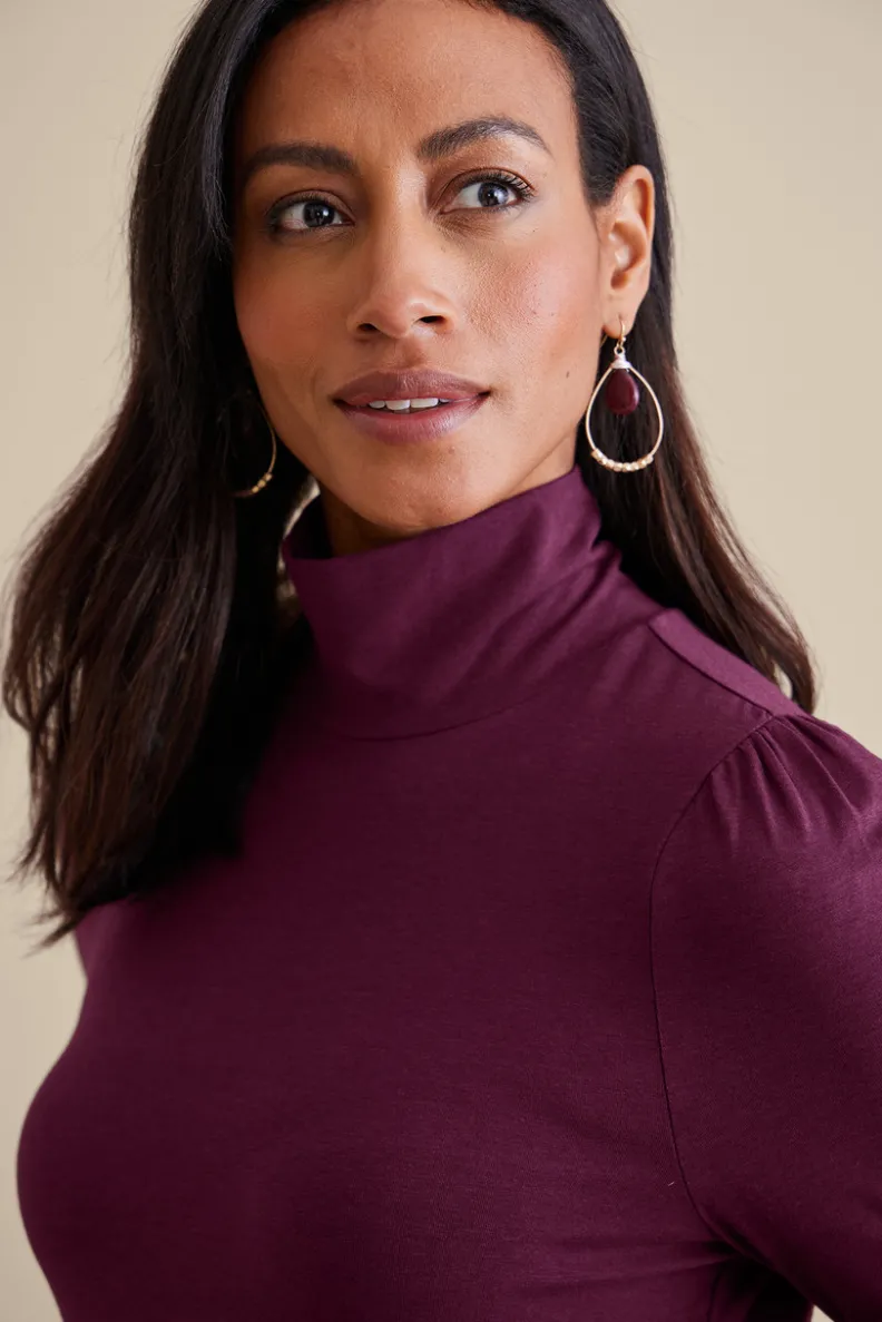 Best Soft Surroundings Emme Turtleneck Top