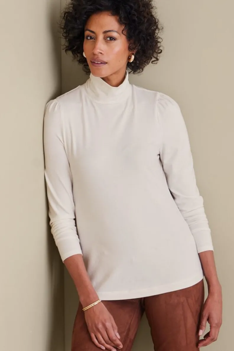 Best Soft Surroundings Emme Turtleneck Top