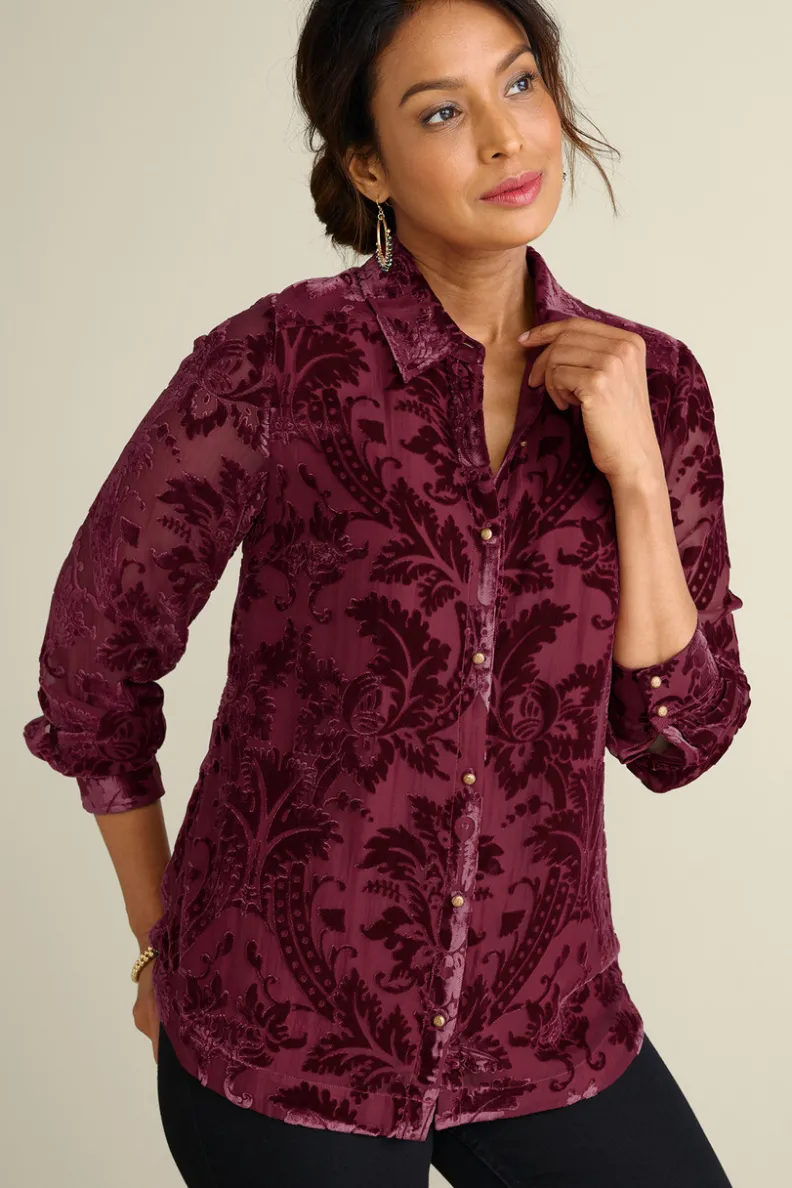 Discount Soft Surroundings Floreat Velvet Shirt